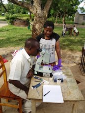 Researchers in Africa assess worm prevalence in child samples through microscope 