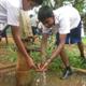 Boys washing hands in Sri Lanka