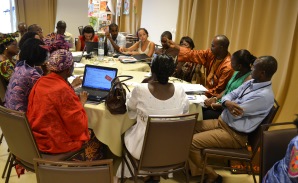 Participants in break out session the Senegal 2013 SHN ourse